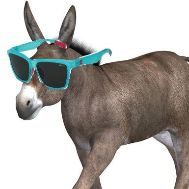 This is twitter account for a new TV show idea: Cool Mule.