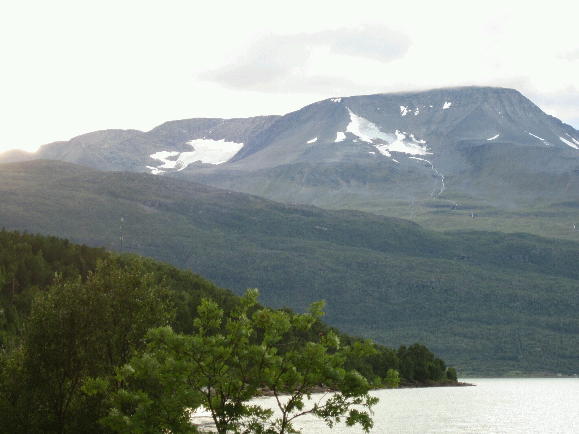 EKujansuu's profile picture. 