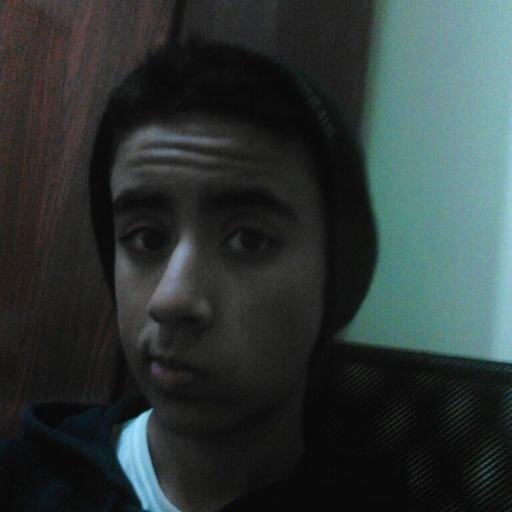 Tenho 14 anos, sou gamer, e tenho um canal de muisca no YouTube :33