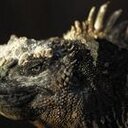 Darrell Stevens - @compuphobe - Twitter