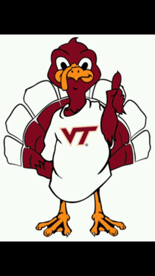 Readingonly24's profile picture. #Hokies