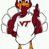 Readingonly24's profile picture. #Hokies