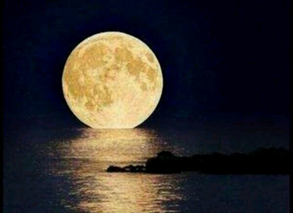 ‏‏بسم الله الرحمن الرحيم اللهم لك الحمد والشكر ، نستغفرك ربي من كل ذنب ، ﻻ إله إلا أنت سبحانك .