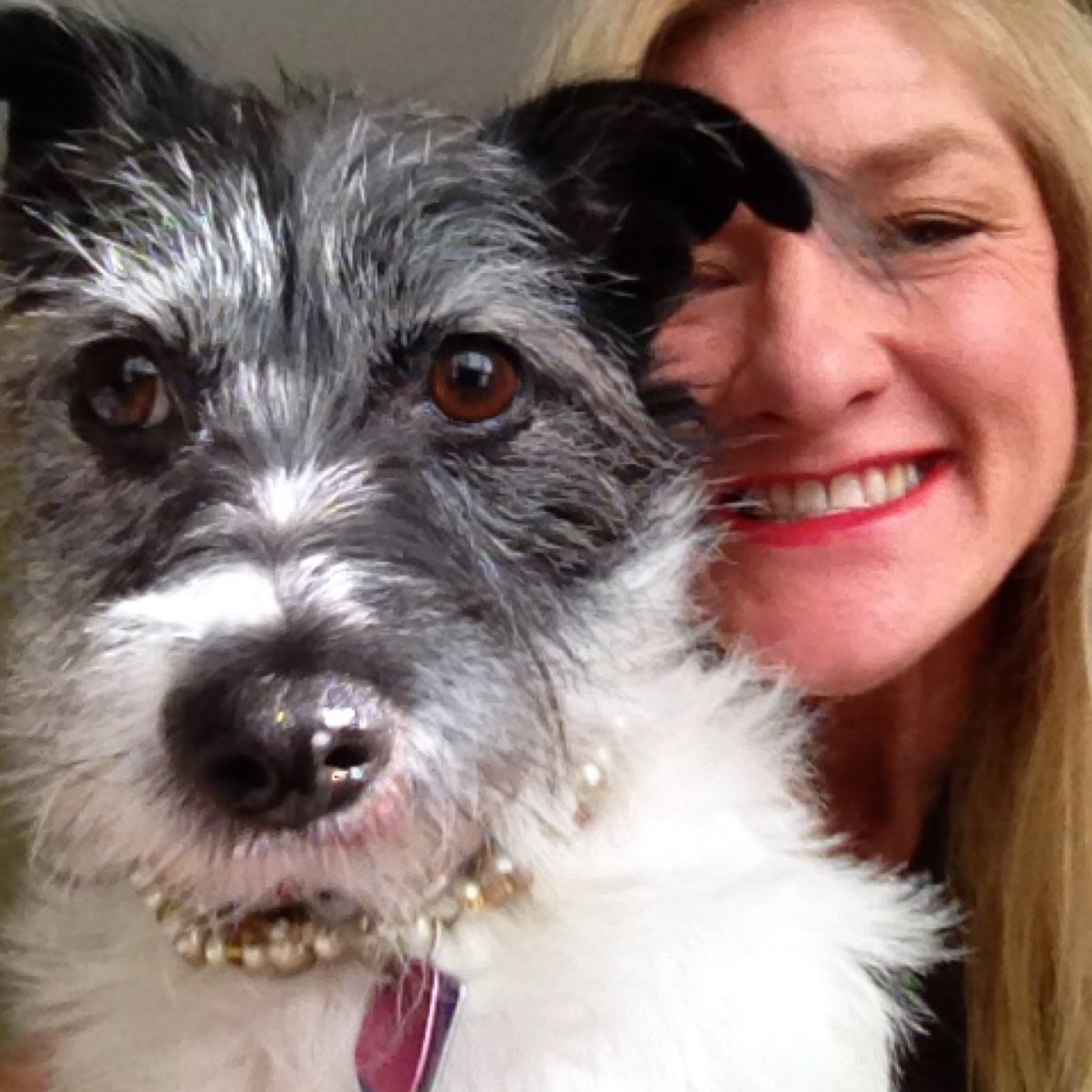 Nickeroo2's profile picture. Passionate about animal health and trends.