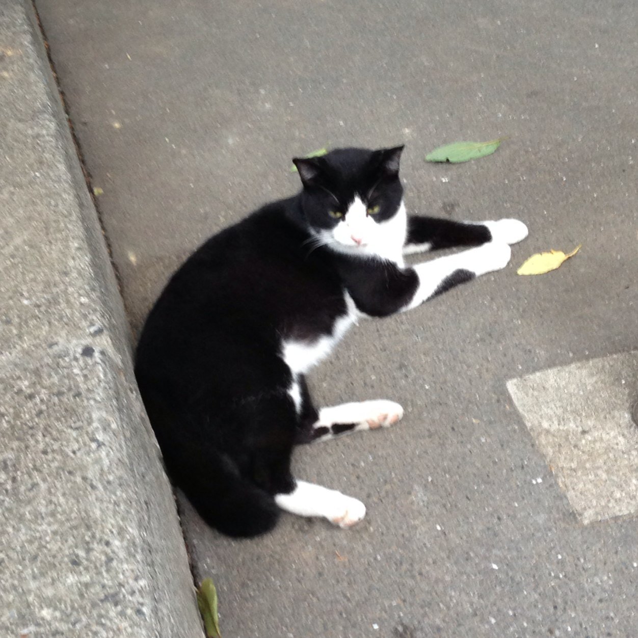 日々やりたいことをやって生きる。自分を信頼、人を信頼。全てに感謝。洋楽、競馬、中村一義、読書、散歩、ストレッチ等が好き。