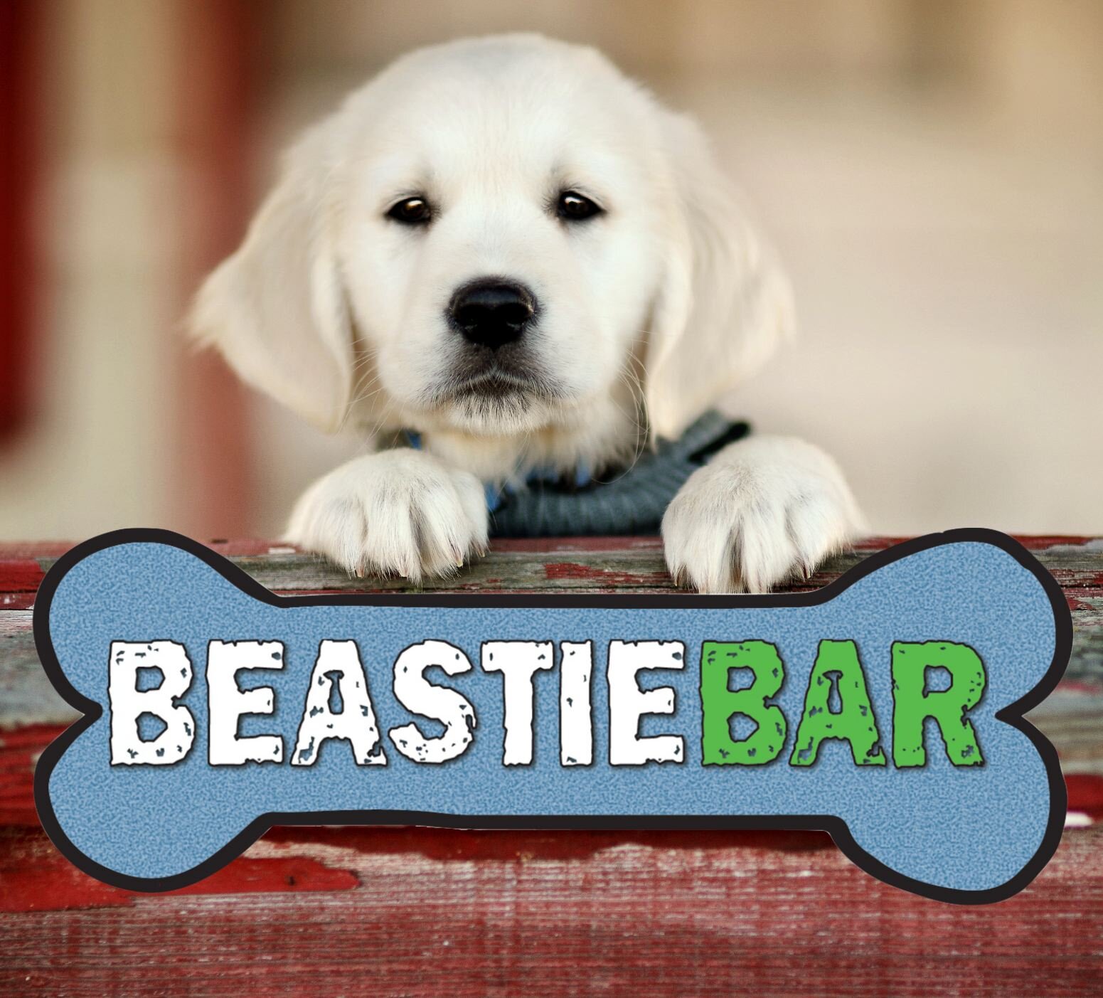 Beastie Bars are healthy dog treats for on-the-go pet parents. They are individually wrapped, all natural, protein based dog treats, made here in America.