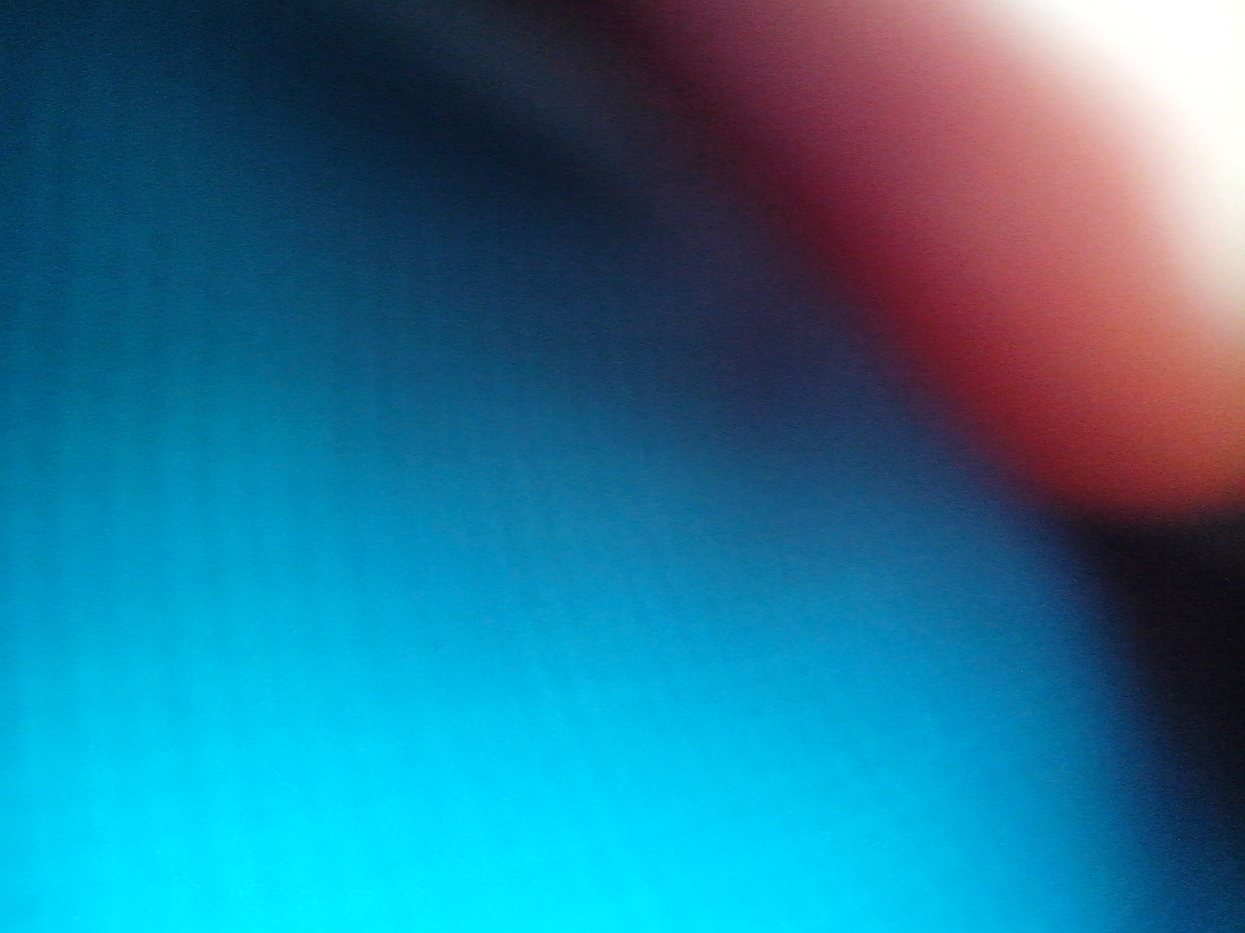 wildone955's profile picture. gay, i love guys i have finished college and im 17 follow me ill follow back XD i have ever changeing taste in music