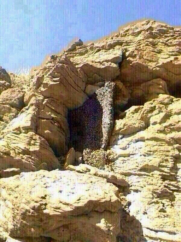 ‏‏‏‏‏‏استغفر الله العظيم ...!