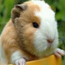 0:) - @Lea_Hahn67 - Twitter