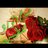 alwedad2222's profile image