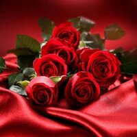 hasanali bulur (@baiatule) 's Twitter Profile