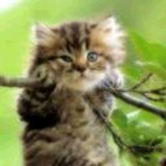 Valeriy88393272's profile picture. Кузнец