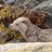 DiscoveTorridon's profile image