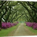 Ruby Wheeler - @MzDivaflo - Twitter