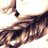 AbbieAbzxo's profile image