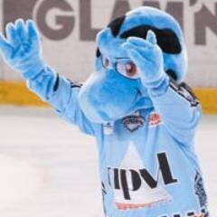 Rempy_Tours's profile picture. Je suis Rempy la mascotte officielle des @rempartstours - Go Remparts Go