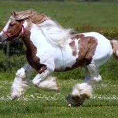 ojovisorihn's profile picture. 