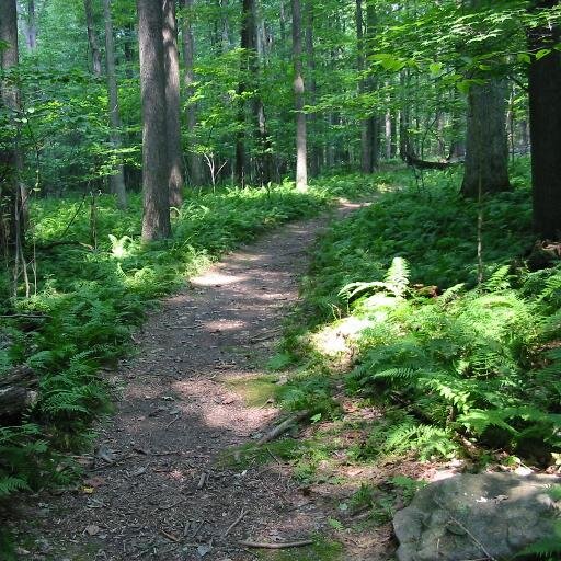 countrylivin567's profile picture. just a guy living in the dirty south. #teamfollowback, just ask.