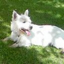 Rory & Mack - @RoryxMack - Twitter