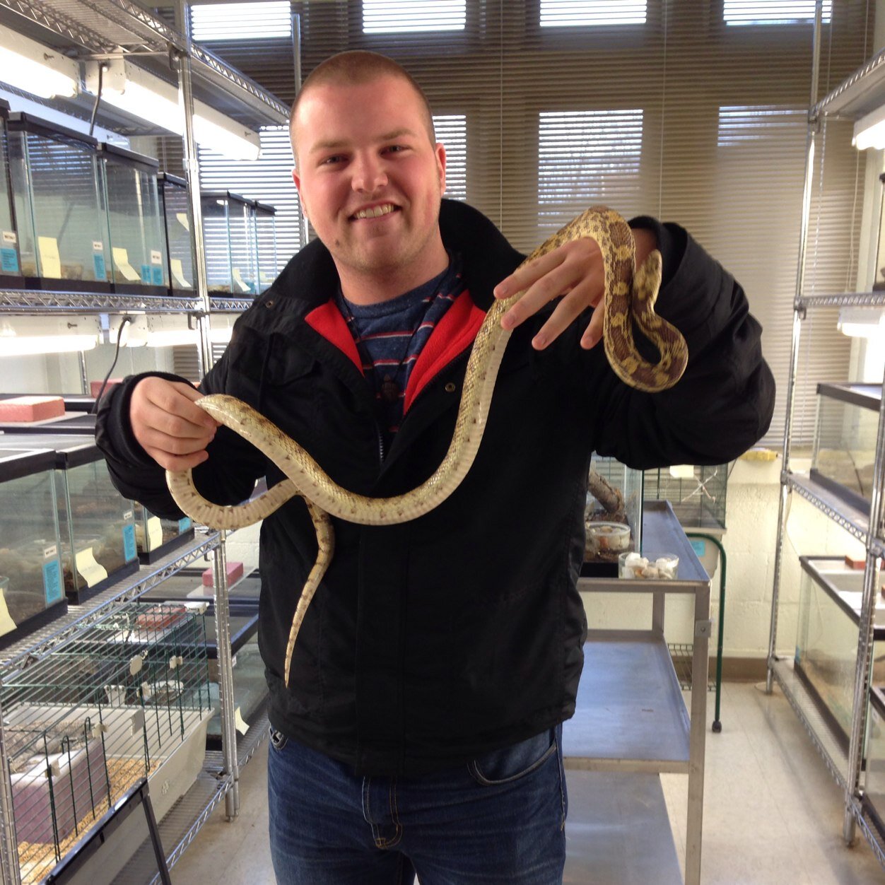 zachbradley93's profile picture. Reptile Veterinarian in Progress! Vols and Ravens fan #UTK #VFL #RavensNation