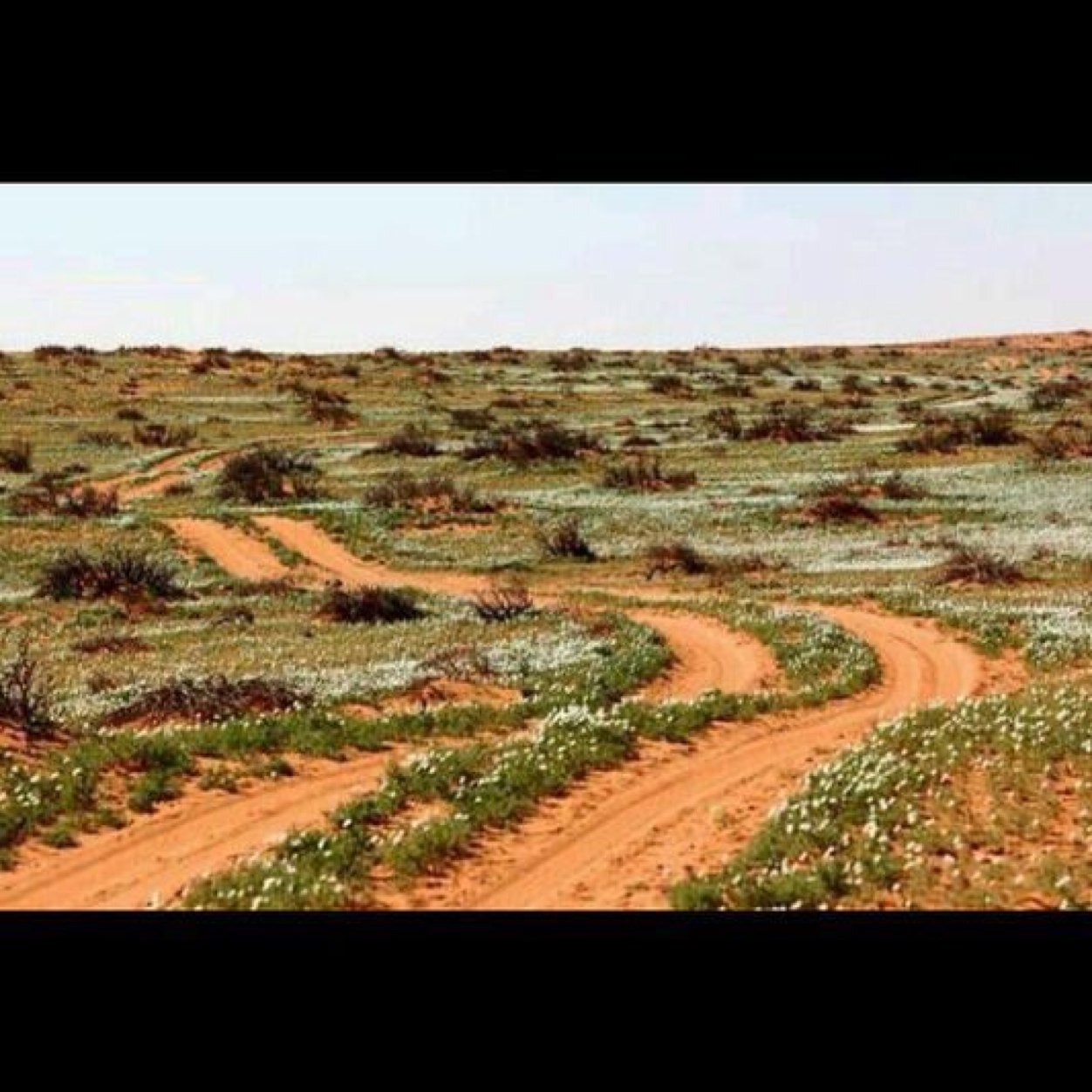 سعوديه ممحونه (@mm7onh11412) | Twitter