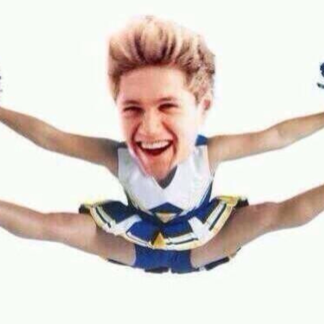 Can i have a hanburger with a side of niall horan