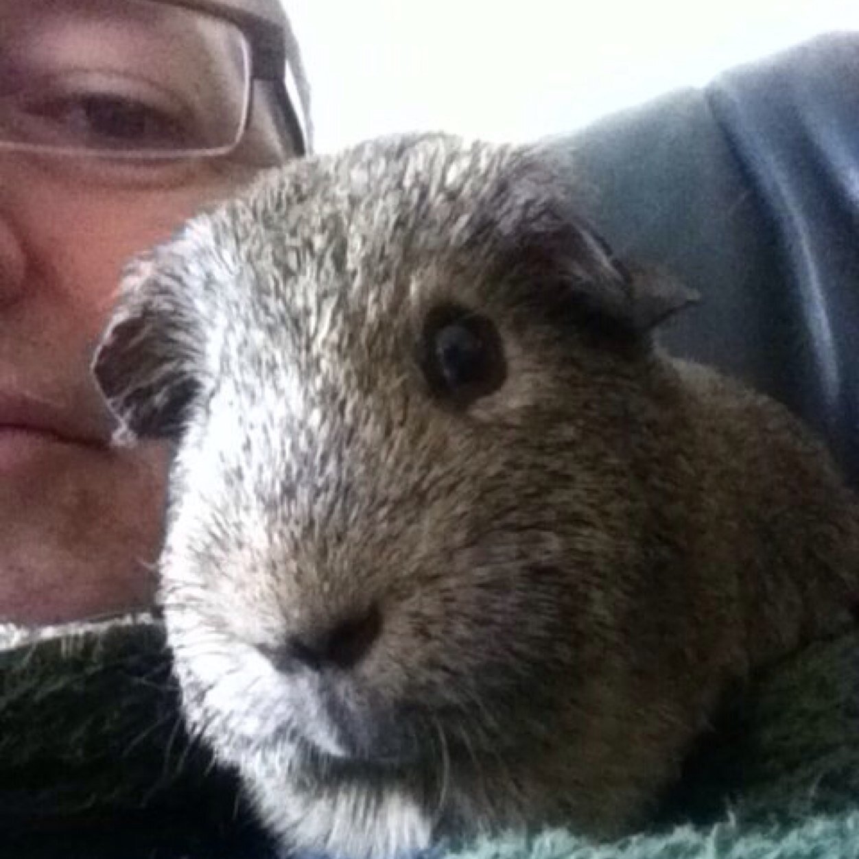 Cooperful1 Profile Picture