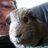 Cooperful1's profile image