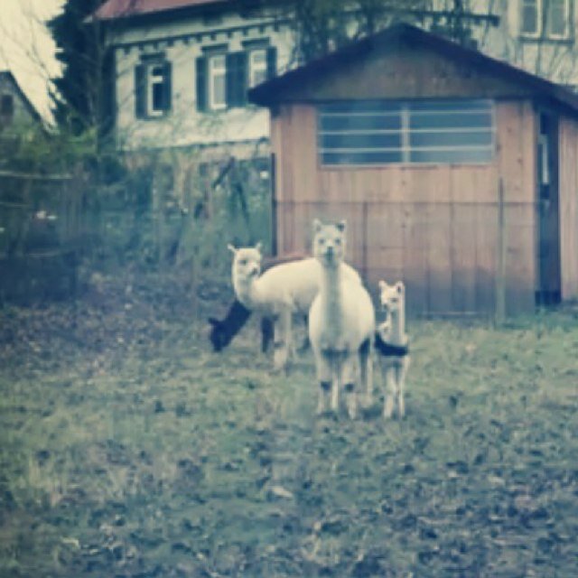 conjrc's profile picture. 