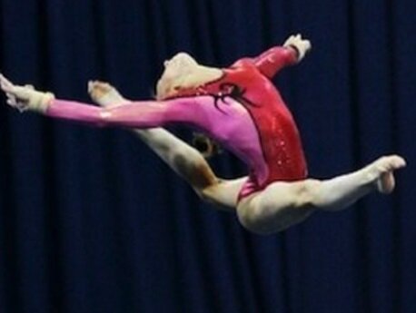 Training women's artistic competitive gymnasts from preschool through Elite