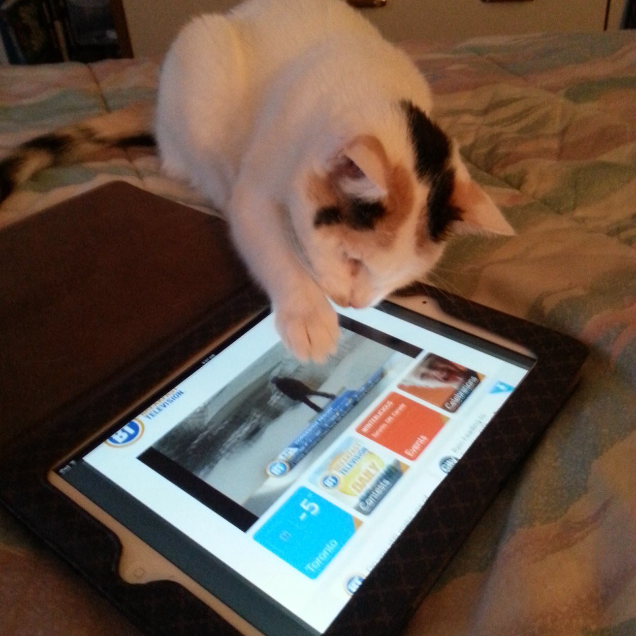 ImBuynNSelln's profile picture. 