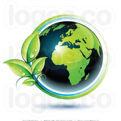 Diretor executivo na empreza 2f service Conservação Ambiental LTDA.