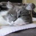 CATHERINE WEBSTER - @bogtrotter47 - Twitter