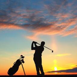 DoonbegGolf's profile picture. 