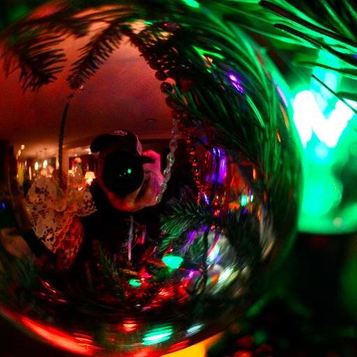 kyleinwisco's profile picture. Politically obsessed orchid enthusiast.