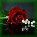 قريبآ ستمطر__»٤٣ (@0530807080) Twitter