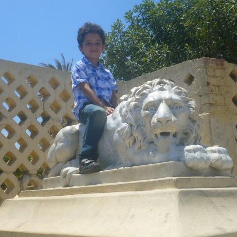 omarkha52478543's profile picture. soft ware developer