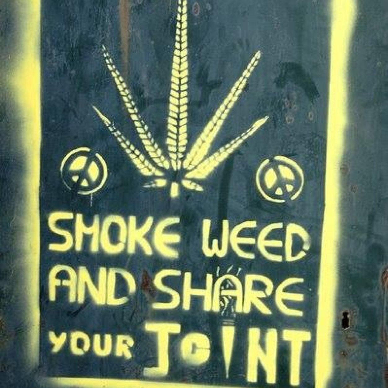 DaGreatWhite30's profile picture. 