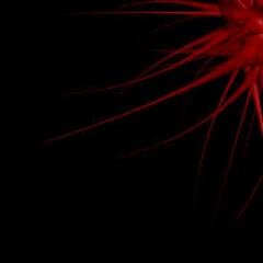 AATRENDSs's profile picture. 