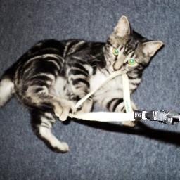 tip_sue's profile picture. 