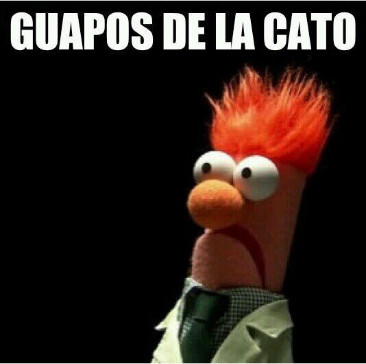 Dando a concer chavas y chavos guapos de nuestra unicah.