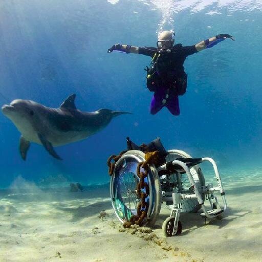 Nature lover, amateur astronomer, Wheelchair Basketball player.
