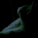 Chris Gallardo - @chrisgall82 - Twitter