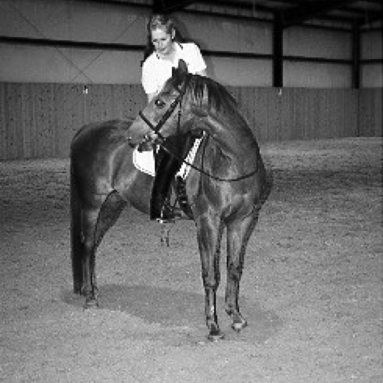 mewhite_mary's profile picture. 