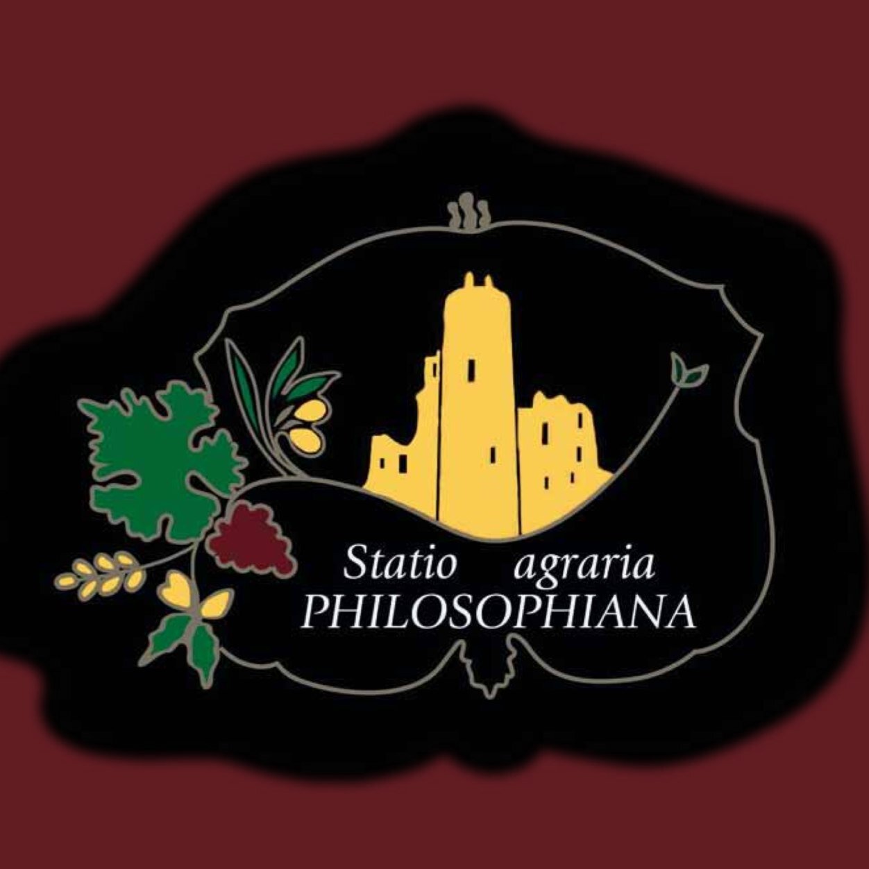 Philosophiana_'s profile picture. Sicilian farm located in the archaeological zone of the Roman Villa del Casale.The company produces two red wines: a Nero d'Avola and a Perricone.