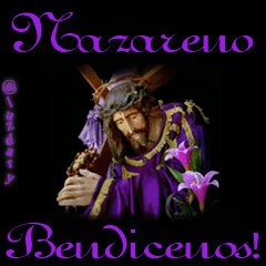 Amante de la Democracia