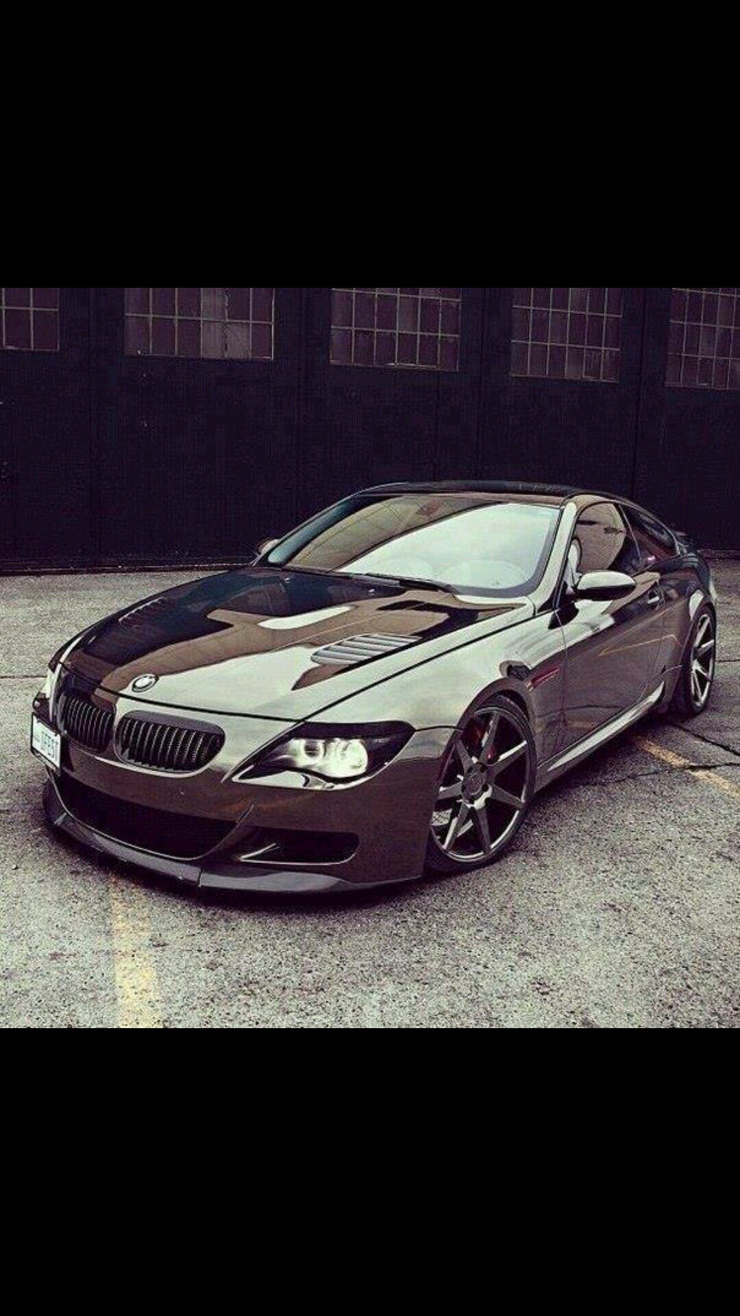 coocheess's profile picture. 