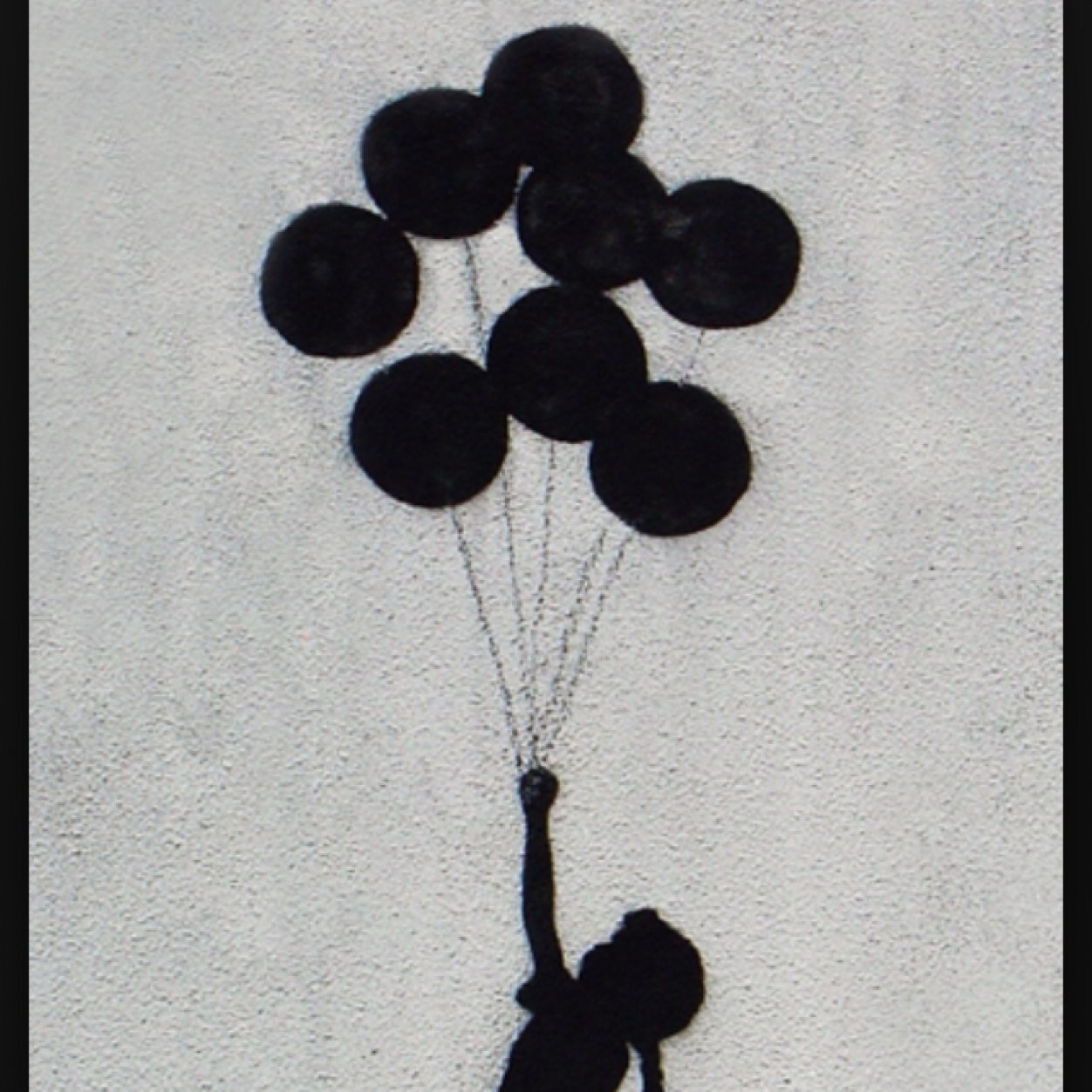 Plant the seed, watch it grow, wind it up let it go.
