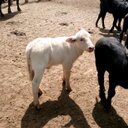 jaifer emiro torres  - @jaifertorres - Twitter