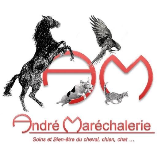 ContactAndr's profile picture. 